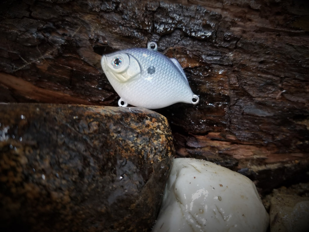 Baby Blue Shad