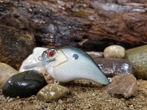 Baby Blue Shad