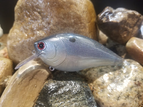 Blue Ghost Shad