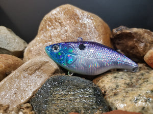 Candy Purple Shad