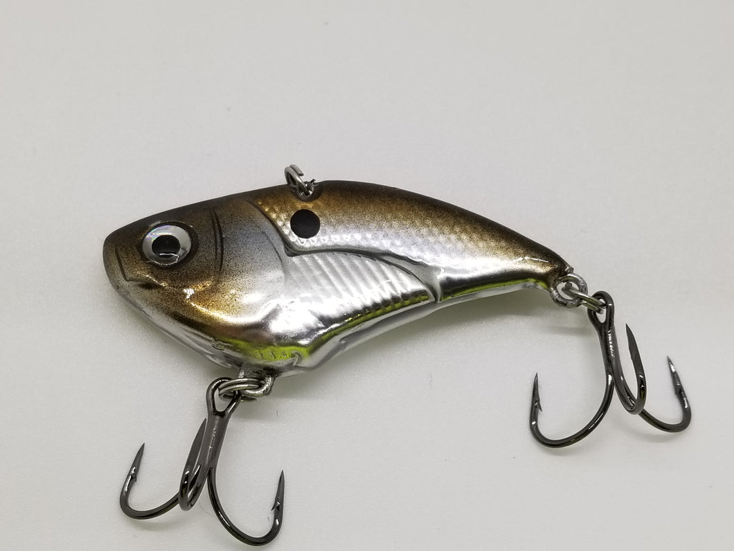 Chrome Gizzard Shad