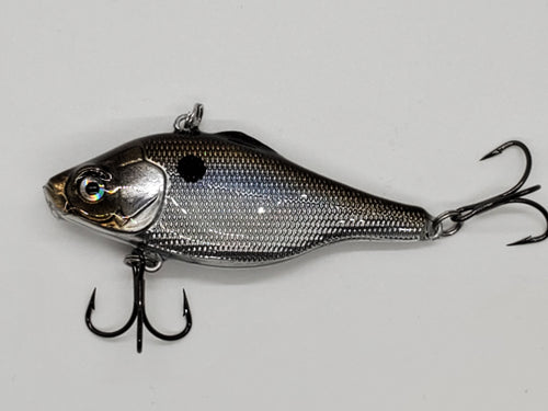 Chrome Gizzard Shad