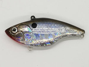 Chrome Gizzard Shad