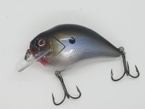 Chrome Gizzard Shad