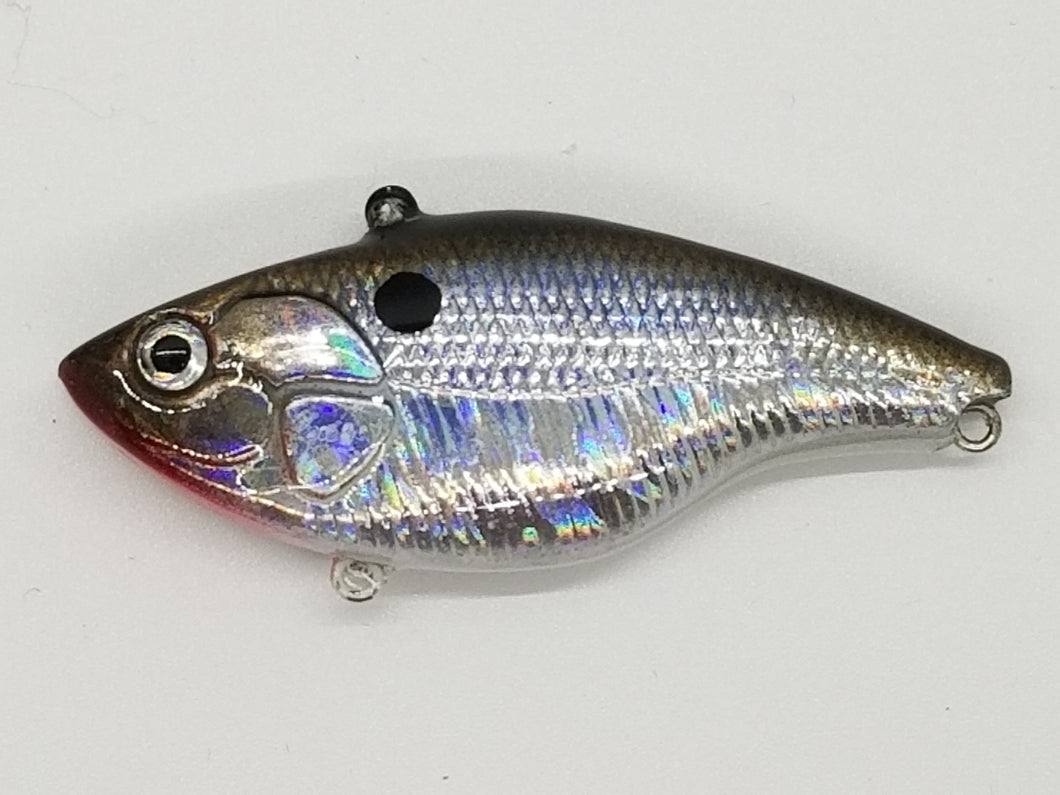 Chrome Gizzard Shad