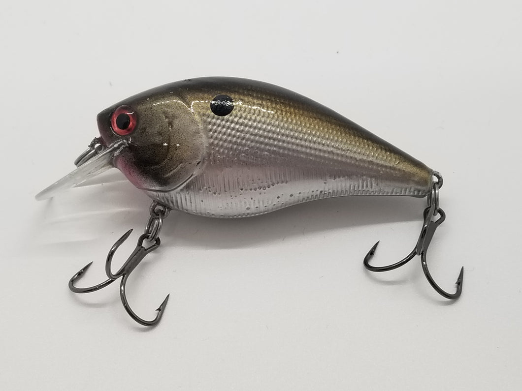 Chrome Gizzard Shad