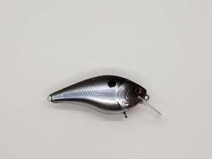 Chrome Gizzard Shad