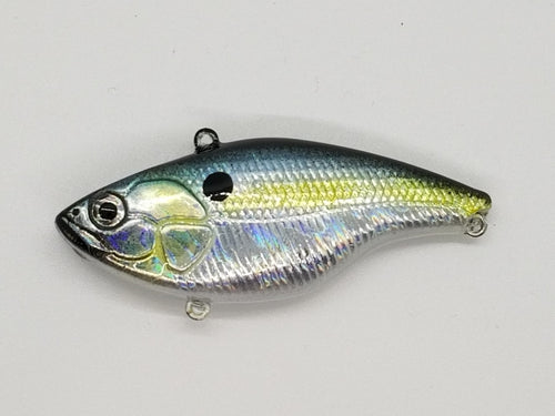 Chrome Threadfin Shad