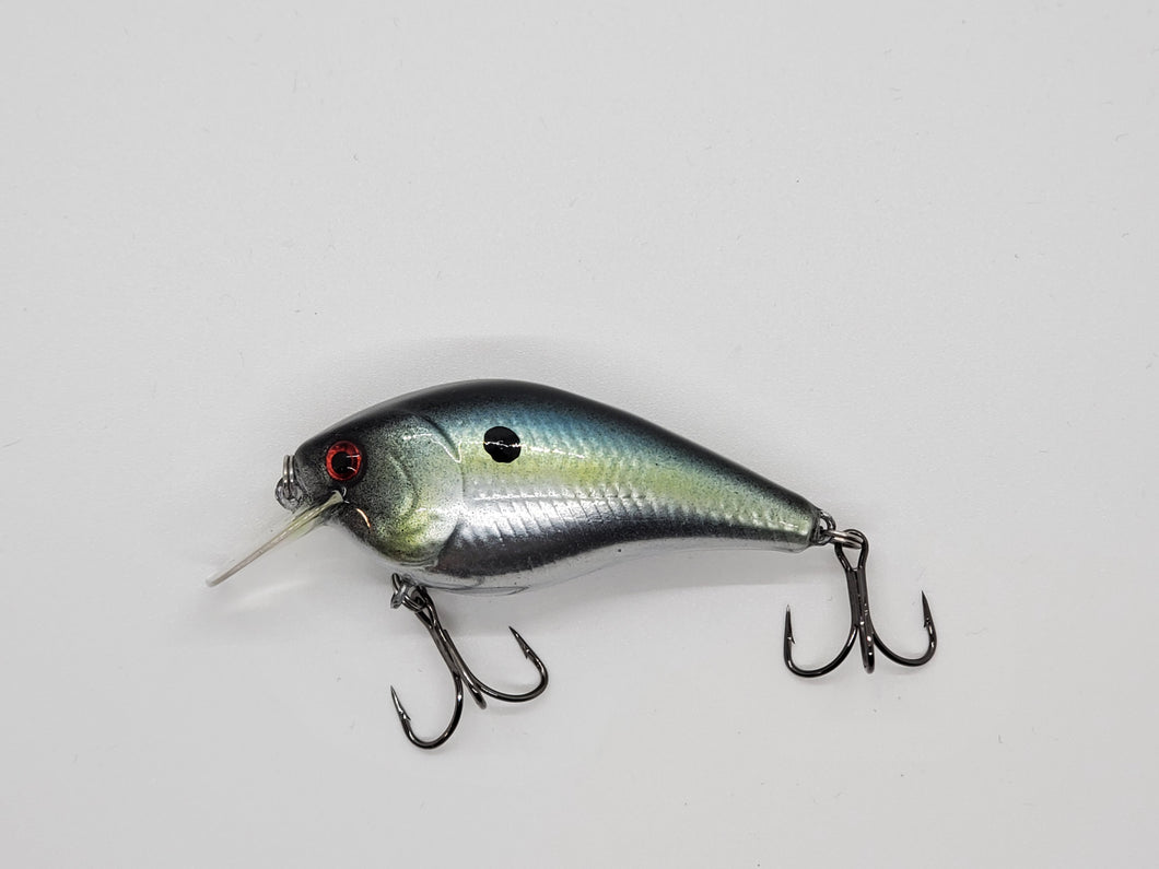 Chrome Threadfin Shad