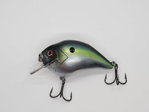 Chrome Threadfin Shad