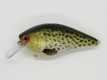 Load image into Gallery viewer, Crappie