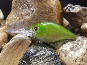 Ghost Green Shiner