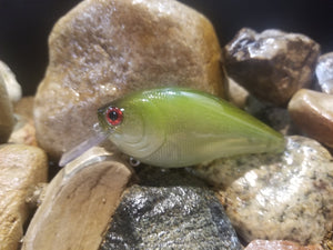 Ghost Green Shiner