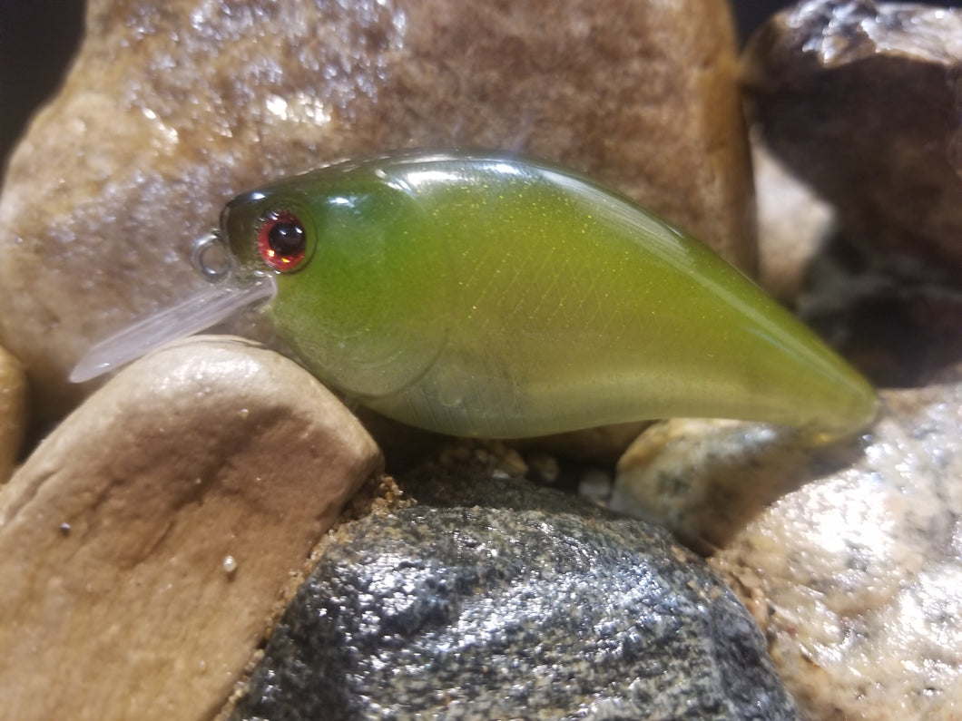 Ghost Green Shiner