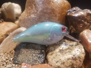 Ghost "Sexy" Shad