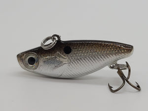 Gizzard Shad