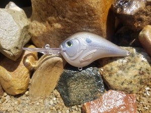 Gizzard Shad