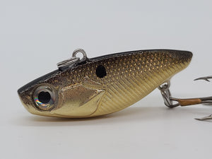 Gold Shiner