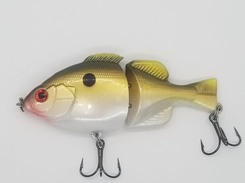 Gold Gizzard Shad- Pumpkin Gill Swimbait