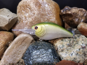 Golden Shiner