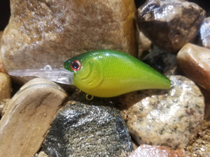 Green Shiner