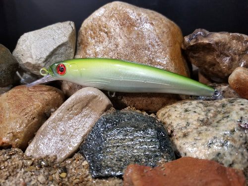 Green Shiner