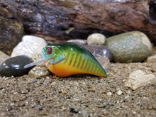 Load image into Gallery viewer, Green Sunfish