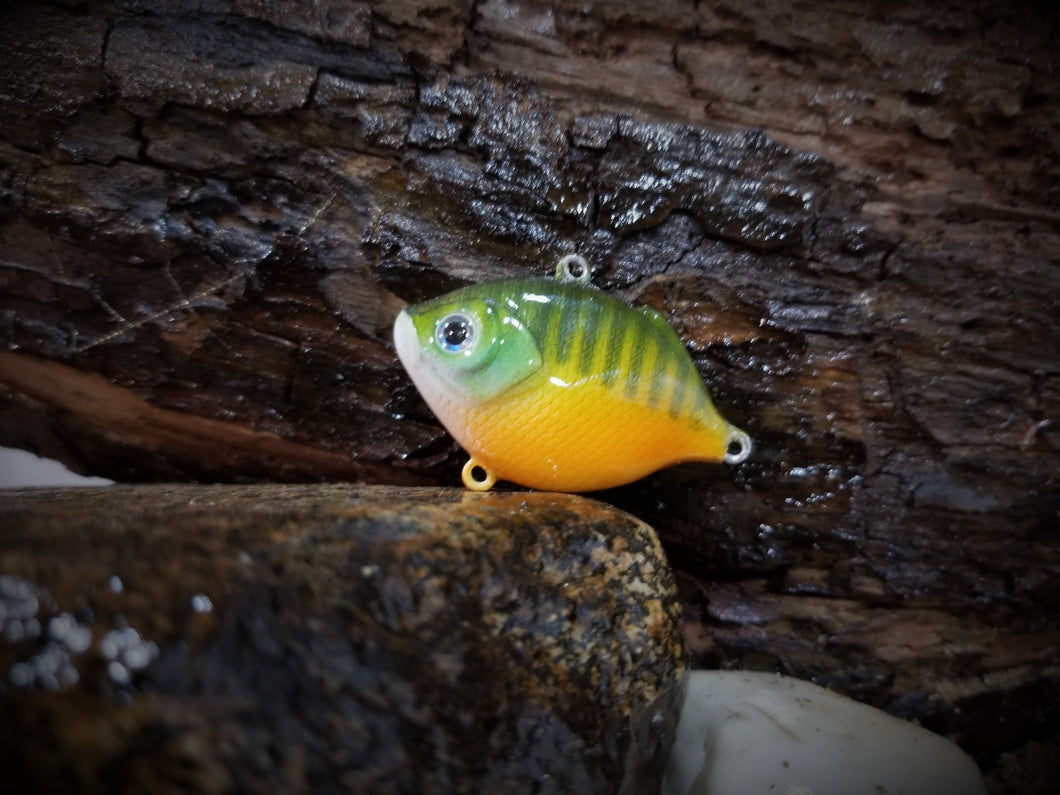 Green Sunfish