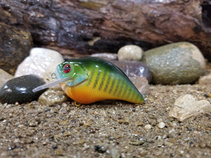 Green Sunfish