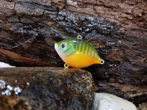 Green Sunfish