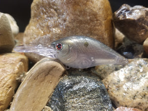 Silver Ghost Shad