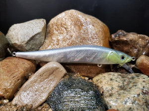 Silver Minnow