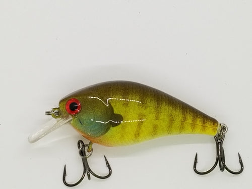 Yellow Gill