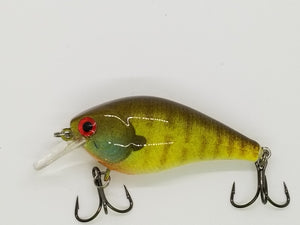 Yellow Gill